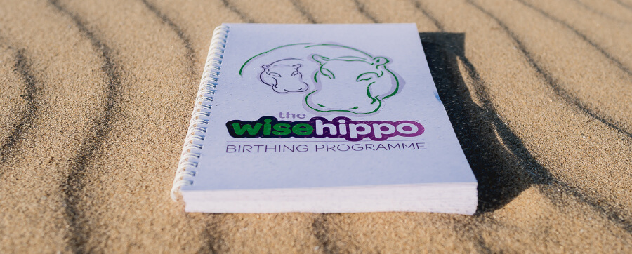 wise hippo programme on beach