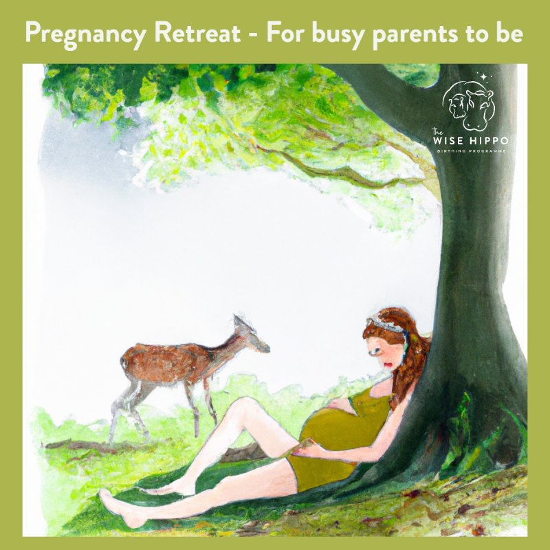 Preg retreat for busy